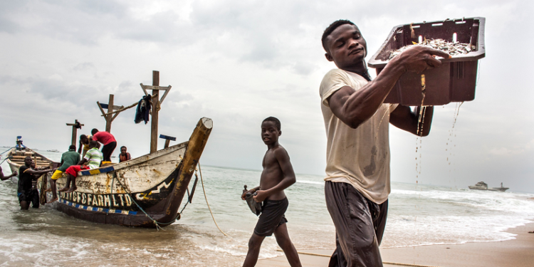 Climat : L’économie bleue, une alternative pour l’Afrique ?