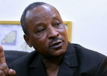 Mali – Niger : pourquoi rien ne va plus ?