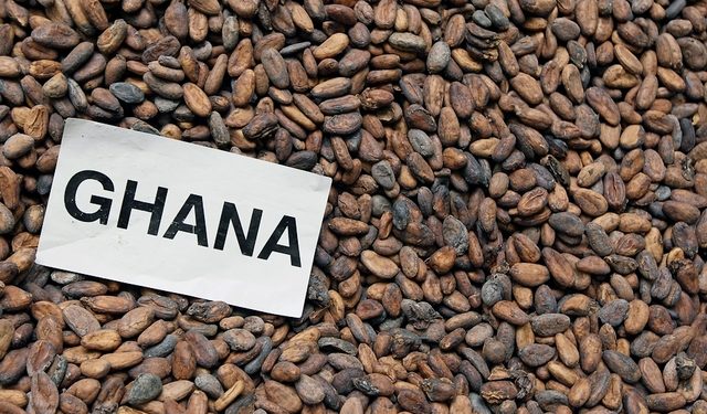Ghana : le cacao sous l’emprise du changement climatique