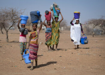 Sécurité : quel avenir pour la stabilisation du Sahel ?