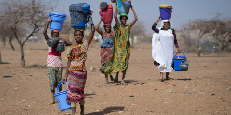 Sécurité : quel avenir pour la stabilisation du Sahel ?