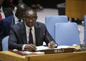 Diplomatie : à l’ONU, les leçons de rhétorique d’Abdoulaye Diop