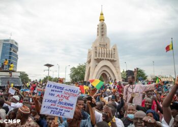 MALI : UN « CHEVAL QUI A MAL A UNE PATTE »