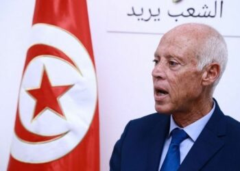 IMMIGRATION : « LE GRAND REMPLACEMENT EN TUNISIE », UN CONCEPT VIDE DE SENS !