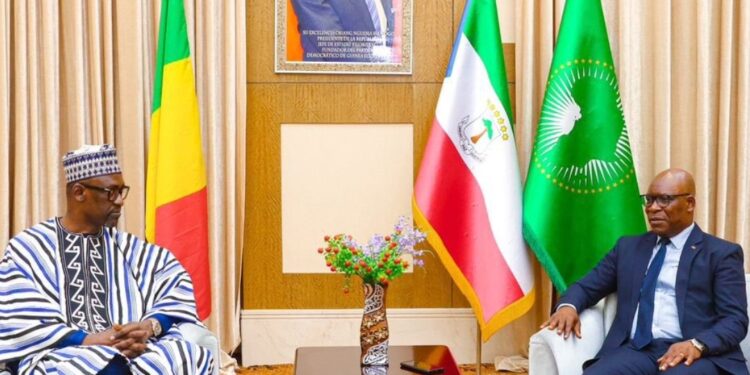 La diplomatie malienne en avant dans la vulgarisation du projet de constitution