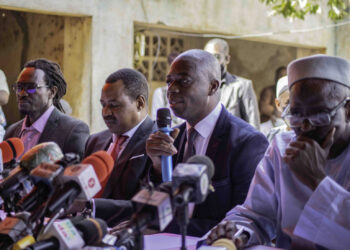 Mali : les formations politiques, quand l’instinct de survie prend le dessus