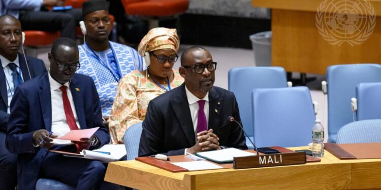 Diplomatie : le Mali dit « Non » à la Minusma