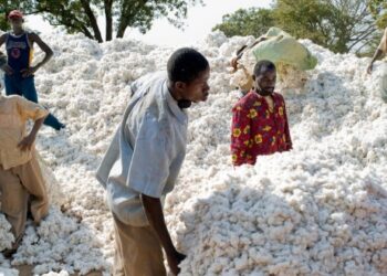 Mali : vers une industrialisation pour assurer la souveraineté économique