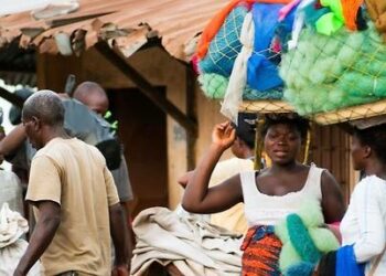 Economie : pauvreté et inégalités en Afrique