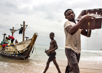 Climat : L’économie bleue, une alternative pour l’Afrique ?