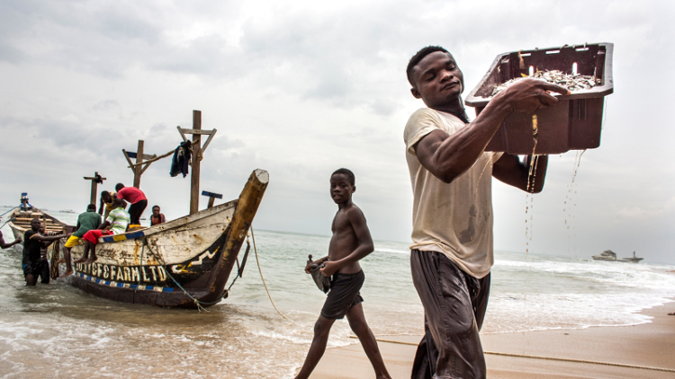 Climat : L’économie bleue, une alternative pour l’Afrique ?