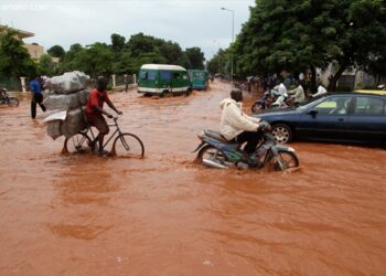 Les changements climatiques : un des plus grands défis pour l’Afrique