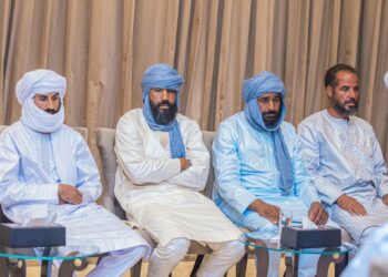 Sahel : les quatre chauffeurs routiers marocains enlevés en janvier ont été libérés au Mali