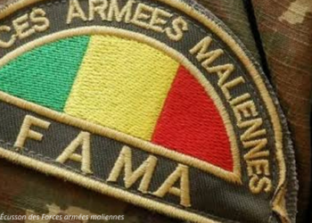MALI : LES FORCES ARMÉES NEUTRALISENT PLUS DE 45 TERRORISTES ET RÉCUPÈRENT UN IMPORTANT CHEPTEL