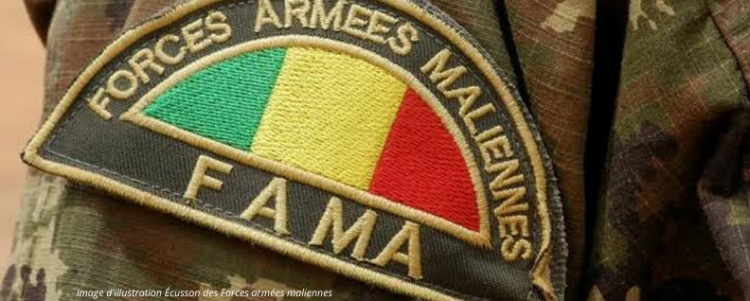 MALI : LES FORCES ARMÉES NEUTRALISENT PLUS DE 45 TERRORISTES ET RÉCUPÈRENT UN IMPORTANT CHEPTEL
