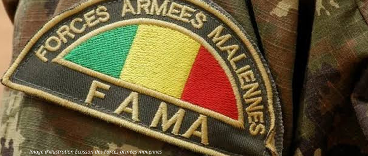 MALI : LES FORCES ARMÉES NEUTRALISENT PLUS DE 45 TERRORISTES ET RÉCUPÈRENT UN IMPORTANT CHEPTEL