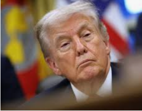 Epstein Files : la tempête qui fragilise la présidence Trump