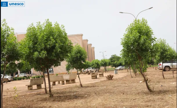 Mali : préservation des espaces verts urbains, un impératif de santé publique et de cohésion sociale