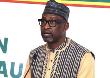 Nouvelle stratégie Sahel du Togo : le Mali appelle à une coopération fondée sur la souveraineté