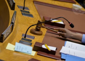 Mali : le FLA dans le viseur de l’ONU ?
